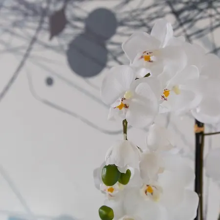 珍珠公寓